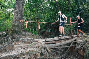 BIB: 
                            <button type="button" onclick="openModal(27805500)" class="btn btn-primary btn-sm float-right btn-popup" data-toggle="modal" data-target=".modal-high-quality">
                        <i class="fas fa-shopping-cart"></i> Add to Cart
                    </button>
                                            <button type="button" onclick="isThisMe(27805500, true)" class="btn btn-success btn-sm float-right btn-popup btn-isme hidden" data-toggle="tooltip" data-placement="bottom" title="นี่คือรูปของคุณใช่ไหม คลิกที่นี่เพื่อเอาเข้าอัลบั้ม">
                        <i class="fas fa-plus"></i> Add to album
                    </button>
                    <button type="button" onclick="isThisMe(27805500, false)" class="btn btn-warning btn-sm float-right btn-popup btn-isnotme hidden">
                        <i class="fas fa-ban"></i> Remove from album
                    </button>